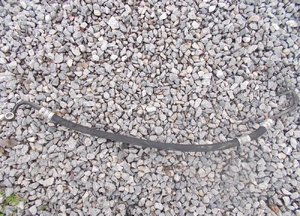 5d53afee-ee2f-4054-a4d9-f7f134c15458.png