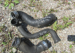 239079d6-9c70-44ef-84e2-5c8d8d7aadf1.png