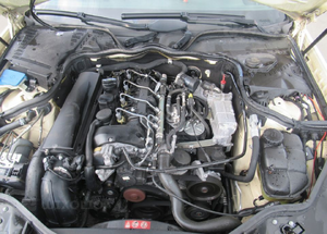 e1ff9a69-b904-4ddd-b27c-fc1b00619376.png